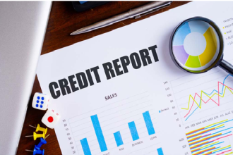 How to read a company credit report
