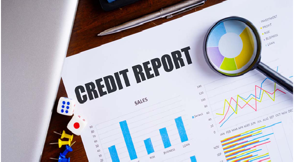 How to read a company credit report
